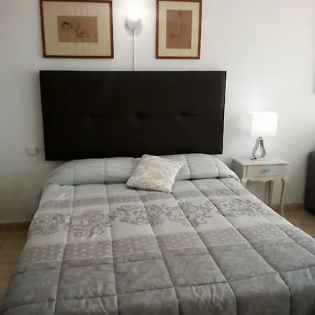 Estudio Puerto De La Cruz Palmeras *