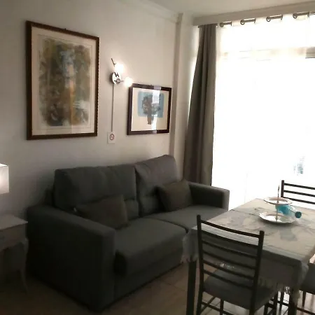 Estudio Puerto De La Cruz Palmeras Puerto de la Cruz (Tenerife)