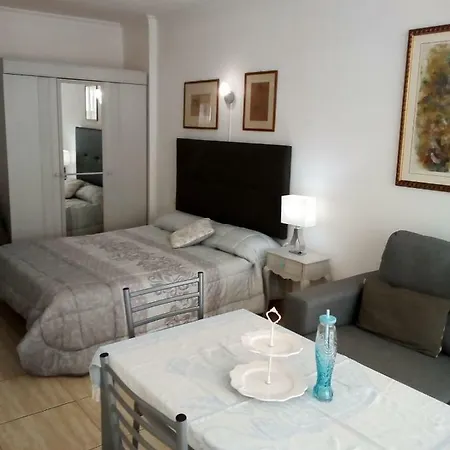 Estudio Puerto De La Cruz Palmeras *